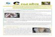 LE LAPIN DE COMPAGNIEclinique-veterinaire-innovet.com/media/original/... · Le persan a une tête ronde, avec le museau aplati et la mâchoire plus courte que chez les autres chats