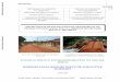 ETUDE D’IMPACT ENVIRONNEMENTAL ET SOCIAL (EIES) · RAPPORT FINAL RESUME EXECUTIF-EXECUTIVE SUMMARY AVRIL 2006 Accident sur un pont provisoire sur l’axe Abong Mbang-Bertoua : Nécessité