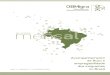 Acompanhamento de fluxo e empregabilidade dos imigrantes · 2020-05-19 · de fluxo e empregabilidade dos imigrantes no Brasil. RELATÓRIO MENSAL DO OBMIGRA | FEVEREIRO 2020 | 6 Lista
