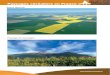 Paysaqes céréaliers en France Plaine agricole Paysage de … · 2016-05-13 · Paysaqes céréaliers en France Plaine agricole Paysage de montagne . Paysaqes céréaliers en France