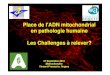 Place de l'ADN mitochondrial en pathologie …meetochondrie.ibgc.cnrs.fr/colloques/colloque6/...Y W ND2 I M Q ND1 16S 12S D-loop Cyt.b D E L E T I O N S 3243A->G MELAS CPEO DDM tRNA-Ile