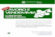 LAVORO E VENDEMMIA - Confagricoltura Cuneo · con la circolare n. 126 del 16.12.2009, for-nendo ai propri ispettori le linee di indirizzo e le indicazioni operative per l’attivitàdi