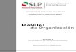 MANUAL de Organizaciأ³nseer.slp.gob.mx/Transparencia 2017/19_IV_DSE_DS_MO.pdfآ  Acuerdo nأ؛mero 696
