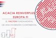 ACACIA REINVERPLUS EUROPA FI€¦ · ayudarnos a hacer mejor ese trabajo de análisis y convertirlo en una tarea sistemática. Multi-Factor 3. Aunque somos los gestores y no las máquinas