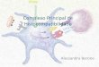 Complexo Principal de Histocompatibilidadeprofbio.com.br/aulas/inunologia_1_aula_09.pdf · MHC •Complexo principal de histocompatibilidade (MHC) ou antígeno leucocitário humano
