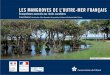 LES MANGROVES DE L’OUTRE-MER FRANÇAIScoralliens et des écosystèmes associés présents dans 10 des collectivités de l’outre-mer français, réparties dans 3 océans de la planète