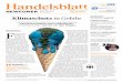 Klimaschutz in Gefahr Die Digitalisierung verändert · Allerdings hat die Digitalisierung, die derzeit einige Branchen kräftig durcheinanderwirbelt, auch den deutschen Buchmarkt