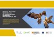 PROGRAMA DE ACCIONES DE CONSERVACIÓN DEL QUEBRANTAHUESOS EN … · 2018-06-28 · PROGRAMA DE ACCIONES DE CONSERVACIÓN DEL QUEBRANTAHUESOS EN PIRINEOS Y PICOS DE EUROPA 3 fundación