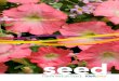 Ваши существенные цветыtyulpany.com/files/postavsiki.pdf · 2020-07-15 · содержание B bacopa 2 C coleus premium sun 2 coleus kong ® & premium shade