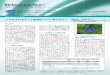 BioResource Now - SHIGENshigen.nig.ac.jp/shigen/news/n_letter/2016/nl201610.pdf · 2018-03-05 · Tpn1 ファミリーのトランスポゾンが 挿入していました。 配列数