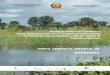 PERFIL AMBIENTAL DISTRITAL DE · 2019-01-09 · O Distrito de Marromeu localiza-se na região do Baixo Zambeze, Província de Sofala, tendo como limites geográficos os seguidamente