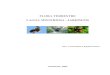 FLORA TERRESTRE LAGOA MISTERIOSA - JARDIM/MSbionconsultoria.com/meioambiente/Flora da Lagoa... · 2009-10-28 · (ipês), Albizia polycephala (angico-branco), bem como espécies de
