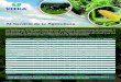 CentroSur-imprimir - Agrovitra · 2020-04-06 · Title: CentroSur-imprimir Created Date: 5/28/2018 12:59:01 PM