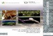 Quaderno ISPRA Conservazione della natura n. 38 · 2017-02-08 · La collana “Quaderni di Conservazione della Natura” nasce dalla collaborazione instaurata tra il Ministero dell’Ambiente