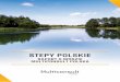 raport multiconsult woda 3fix · 2018-08-26 · STEPY POLSKIE – RAPORT O WODZIE MULTICONSULT POLSKA 2. WODA JAKO ŹRÓDŁO ŻYCIA PROMIENIOTWÓRCZOŚĆ W WIŚLE I JEJ ZASOLENIE
