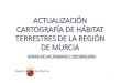 ACTUALIZACIÓN CARTOGRAFÍA DE HABITAT TERRESTRES · 2019-10-30 · actualizaciÓn de la cartografÍa de habitats de la regiÓn de murcia 3. metodologÍa fases del trabajo 6) constuir