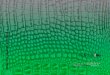 CATÁLOGO GENERAL 2019-2020 - Innova Tile · Teide Beige 30x60 cm Teide Gris 30x60 cm Rodapié Teide 8x60 cm (Disponible en todos los colores) P C3 R11 FORMATO PZAS/CAJA M2/CAJA KG/CAJA