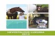 Hevostalous lukuina 2013 - Hippos · Taulukko 9: Valmennus- ja ohjastajalisenssit vuosina 2010-2013. Lähde: Suomen Hippos ry. 8 evostalous luuina 2013 9 2. Kasvatus – hevostalouden