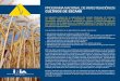PROGRAMA NACIONAL DE INVESTIGACIÓN EN CULTIVOS DE … compartidos... · y manejo general de cultivos cerealeros y oleaginosos de verano e invierno tradicio-nales y cultivos alternativos