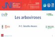 Les arboviroses - Infectiologie...Principales arboviroses (>500 arbovirus, ≈ 100 pathogènes pour l’Homme) 20es JNI, Lyon du 5 au 7 juin 2019 Répartition géographique 6 ZI, CHIK,