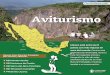 infografia acts AVITURISMO 2019 - Conanp · 2020-01-21 · San Luis Potos í Guanajuato ... PN Benito Juárez Algunas Áreas Naturales Protegidas para conocer y disfrutar: Aviturismo