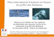 Plan international d’actions en faveur du puffin des Baléaresoiseaux-marins.org/upload/iedit/1/actualites/... · Rappel des conclusions de l’atelier Du 13 décembre 2017 Les