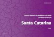 Relatório de Situação Santa Catarinabvsms.saude.gov.br/bvs/publicacoes/caderno_sc_2007.pdf · 2009-02-19 · Santa Catarina possui 9 municípios prioritários, que têm uma cobertura