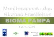 Brasília – Fevereiro de 2012 · 2012-02-09 · Desmatamento no Bioma Pampa Classe Até 2008 (%) 2008-2009 (%) Vegetação suprimida 53,98 54,12 Vegetação remanescente 36,08 35,89