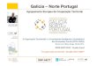 Galicia – Norte Portugalminhoin.com/fotos/editor2/conferenciaminhoin.pdf · Galicia – Norte Portugal Agrupamento Europeu de Coopera ção Territorial GNP -AECT GNP-EGTC Deputy