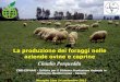 Potential of grasslands - Sardegna Agricoltura · 2015-11-04 · Nurra 3 SPECIE NATIVE (Miscuglio per ambienti asciutti) Esempio di miscuglio oligofita . 0 5000 10000 15000 20000