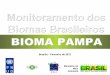 Brasília – Fevereiro de 2012...Brasília – Fevereiro de 2012 Ministério do Meio Ambiente Mapas de referência: Mapa de cobertura de terras do bioma (PROBIO ano-base 2002) + …