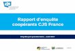 Rapport d’évaluation CJS Franceªte... · animateurs et/ou les comités locaux à la fin de la saison 2017, durant la seconde • Questionnaire conçu avec l’appui du bureau