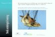 Rapport 3-2015 Bestandsovervåking ved Jomfruland- og Lista ... · 2013. I samarbeid med NOFs lokallag på Lista ble det invitert til åpen dag med fuglekikking, ringmerkingsdemonstrasjoner