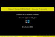 Report Corso BIOLOGIA - Laurea Triennale€¦ · Report Corso BIOLOGIA - Laurea Triennale Presidio per la Qualit a d’Ateneo Universit a degli Studi di Cagliari 21 ottobre 2015 Presidio