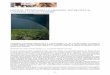 HACIA EL SÍNODO PARA LA AMAZONÍA: ENTREVISTA AL … · Sínodo de la Amazonía. (Entrevista del padre Antonio Spadaro, S.I., al cardenal Cláudio Hummes) El 15 de octubre de 2017