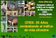 CITES: 35 Años combatiendo el tráfico de vida silvestre...El tráfico de vida silvestre en América Latina • Historia de agotamiento y depredación en América Latina de la mayoría
