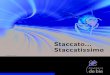 Staccato Staccatissimo - Antilope De Bie Printing · De meest geavanceerde rastermethode, onze Heidelberg Speedmaster drukpersen en een flexibele afwerking zorgen ervoor dat de eigen