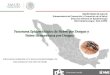 Panorama Epidemiológico de Fiebre por Dengue y Fiebre … · 2019-04-18 · Casos confirmados de Fiebre por Dengue y Fiebre Hemorrágica por Dengue. México 2015 - 2016 * A la semana