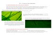 Fichier Doc - Hébergement Gratuit de fichiers .doc (Word ... · Web view2014/01/12  · TP : L’eau et les plantes 1) Absorbation de l'eau par la plante Nous allons essayer de comprendre