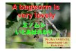 ミノムシ いとあはれなり - Kochi Uarakawar/bagworm/08seminarslide.pdf · 2011-08-22 · China to control E. variegata in about 1990. ... Parasitism and alive of E. variegata