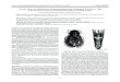 Nuevos datos de Helophorus (Rhopalohelophorus) longitarsis ...sea-entomologia.org/Publicaciones/PDF/BOLN_47/447BSEA47COMP… · 447 Boletín de la Sociedad Entomológica Aragonesa