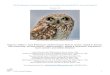 2019 Western Asio flammeus Landscape Study (WAfLS) Annual … · 2019 Annual Report 1 2019 Western Asio flammeus Landscape Study (WAfLS) Annual Report Version 1.0 Short-eared Owl,