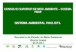 CONSELHO SUPERIOR DE MEIO AMBIENTE – COSEMA FIESPaz545403.vo.msecnd.net/uploads/...23...bruno_covas.pdfSISTEMA AMBIENTAL PAULISTA CONSELHO SUPERIOR DE MEIO AMBIENTE – COSEMA FIESP