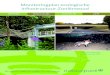 Monitoringplan ecologische infrastructuur Zoniënwoud · Vercayie D. & Lambrechts J, Voorbereidende studie en opvolging van de monitoring van de ecologische infrastructuur ter ontsnippering