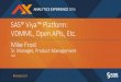 SAS® Viya™ Platform: VDMML, Open APIs, Etc. · 2017-11-28 · HP-UX Solaris SunOS Linux Tru64 OS/2 Google IRIX Cloud Platform …TO MULTI-CLOUD. ... BI GUIs En v Mgr Model Mgmt