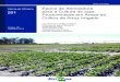 CIRCULAR TÉCNICA Época de Semeadura 201 para a Cultura da … · 2019-01-14 · Época de Semeadura para a Cultura da soja: Produtividade em Áreas de Cultivo de 3 Arroz Irrigado