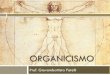 Presentazione di PowerPointOrganicismo "debole" e "forte L’organicismo si può articolare in due forme: una “debole”, in cui la metafora della società come organismo serve solo