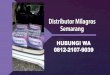 PALING LARIS! WA 0812-2107-9039, Agen Dan Distributor Milagros Semarang