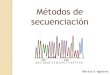 Métodos de secuenciación - Genética Moleculargenmol.blog.unq.edu.ar/.../uploads/sites/33/2018/05/Secuenciacion_… · Métodos de secuenciación Sanger dideoxy (primer extension/chain-termination)