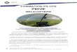 FORMATION PILOTE PRIVE - Hégé HélicoptèreLa formation théorique LAPL(H) et PPL(H) est conforme au programme de formation approuvé selon les nouvelles normes PART-FCL. La formation